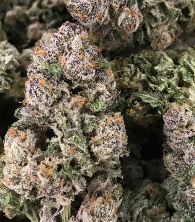 rare-dankness---dark-ghosttrain