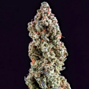 Ethos Mandarin Cookies R3