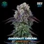 Coconut Cream Feminizada - Perfect Tree