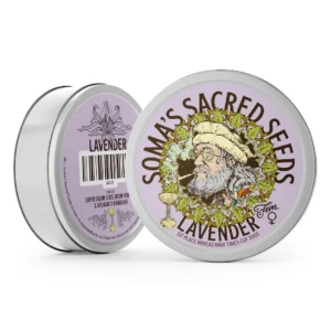 Lavender – Soma's Seeds