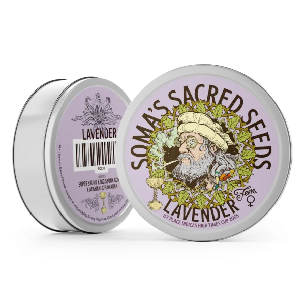 Lavender – Soma's Seeds