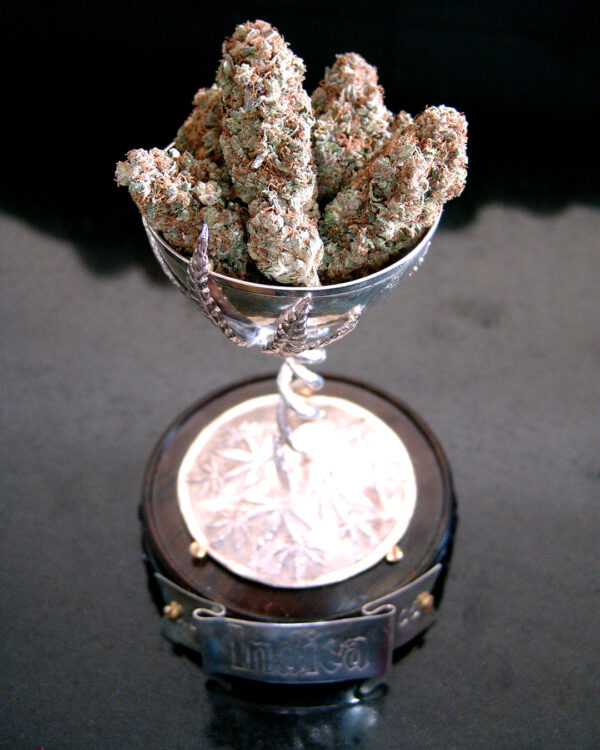 Lavender – Soma's Seeds - Imagem 3