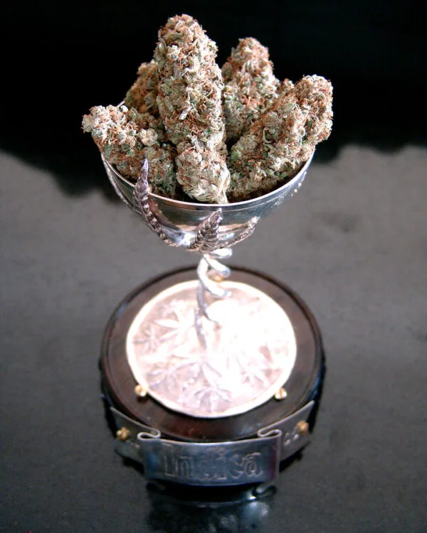 Lavender – Soma's Seeds - Imagem 3