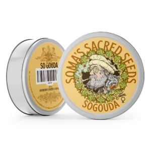 Sogouda – Soma's Seeds