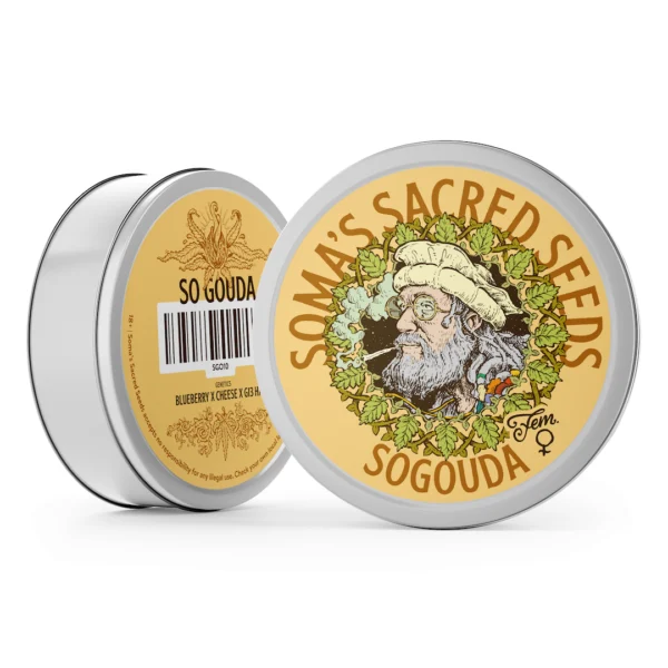 Sogouda – Soma's Seeds
