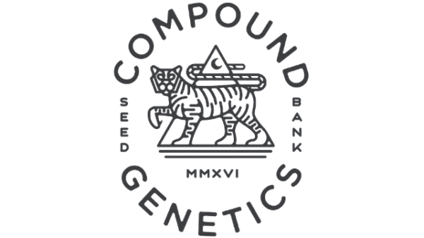 Dulce Dreams Feminizada - Compound Genetics
