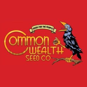 Sundrip - Common Wealth Seed Co