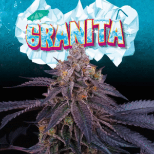 Granita - Perfect Tree